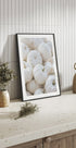 Small White Pumpkins Plakat - Posterbox.dk