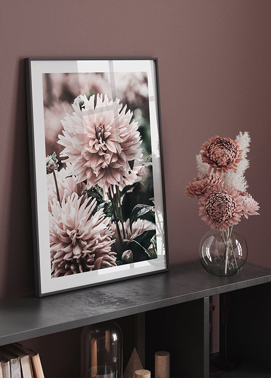 Soft Dahlia Bloom Plakat - Posterbox.dk