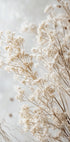 Soft Whispers of Dried Wildflowers in Light Tones Plakat - Posterbox.dk