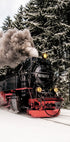 Steam Train in Snowy Forest Plakat - Posterbox.dk