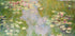 Water Lilies Landscape 1919 by Claude Monet Plakat - Posterbox