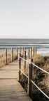 Wooden Path to the Beach, Coastal Boardwalk Plakat - Posterbox.dk