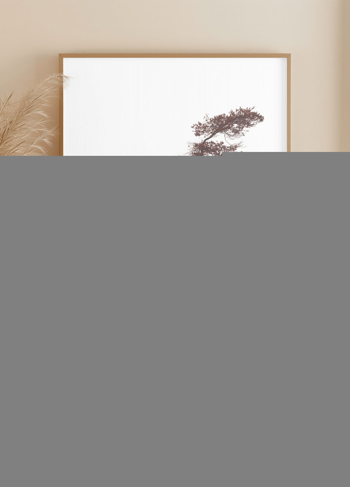 Sochařské borovice plakát