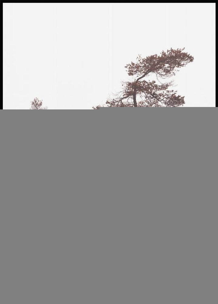 Sochařské borovice plakát