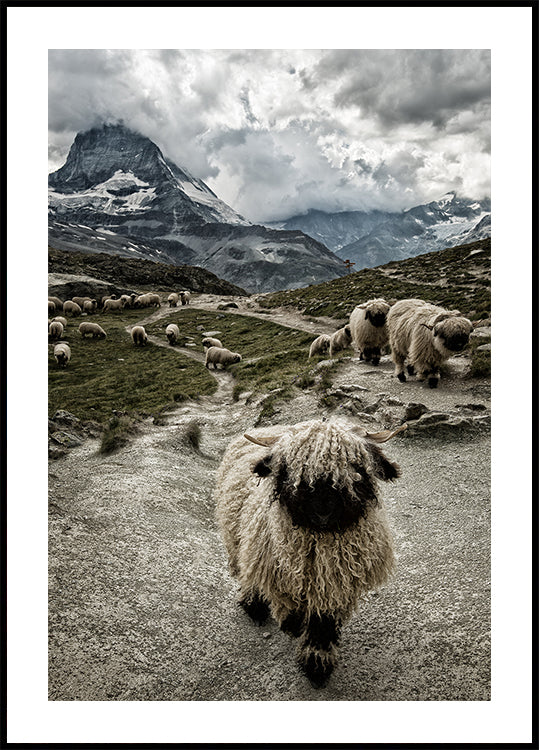 Out of my way Plakat - Posterbox