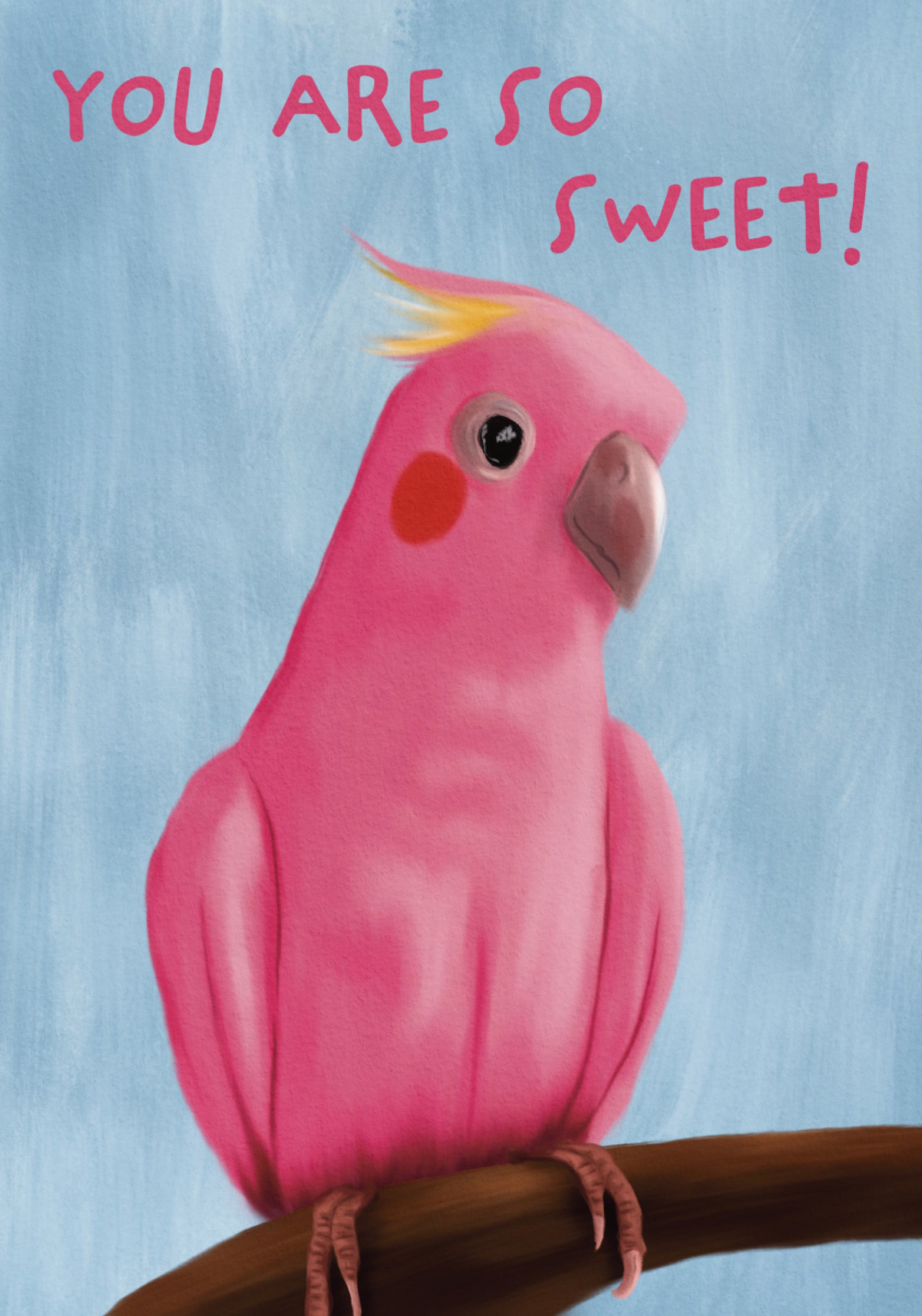 Sladká růžová Galah