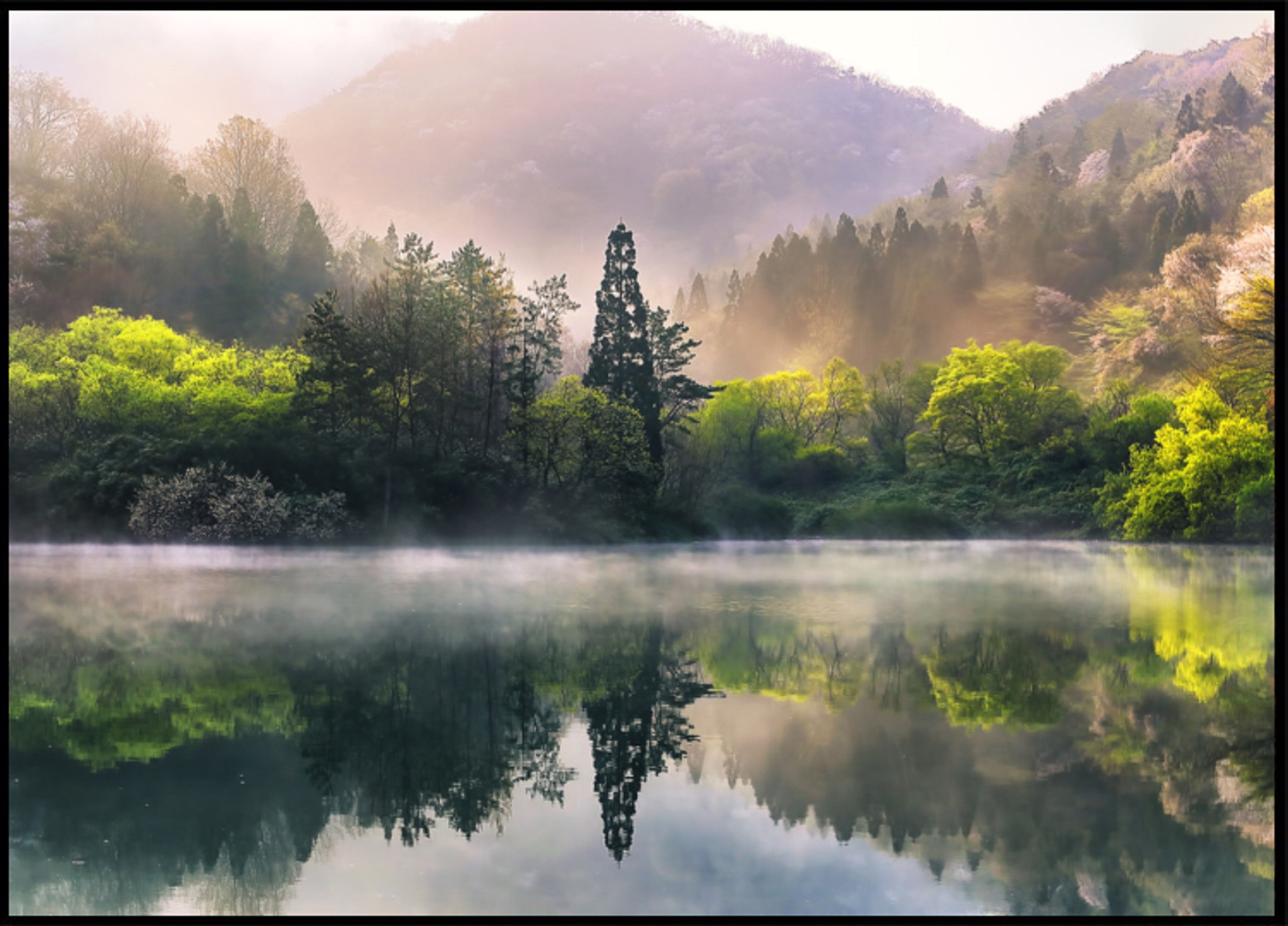 Misty jarní jezero odraz