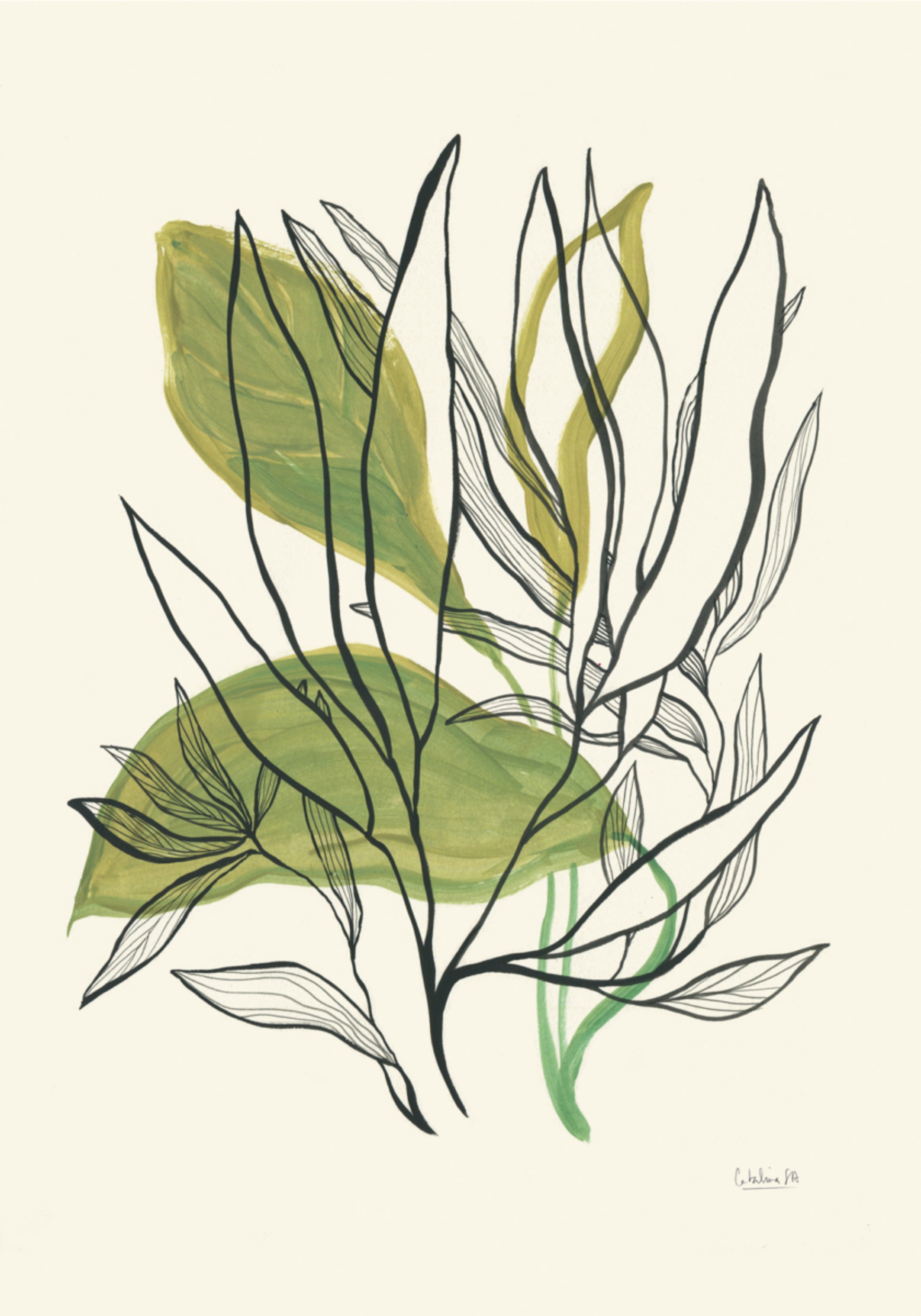 Moderní botanické listy
