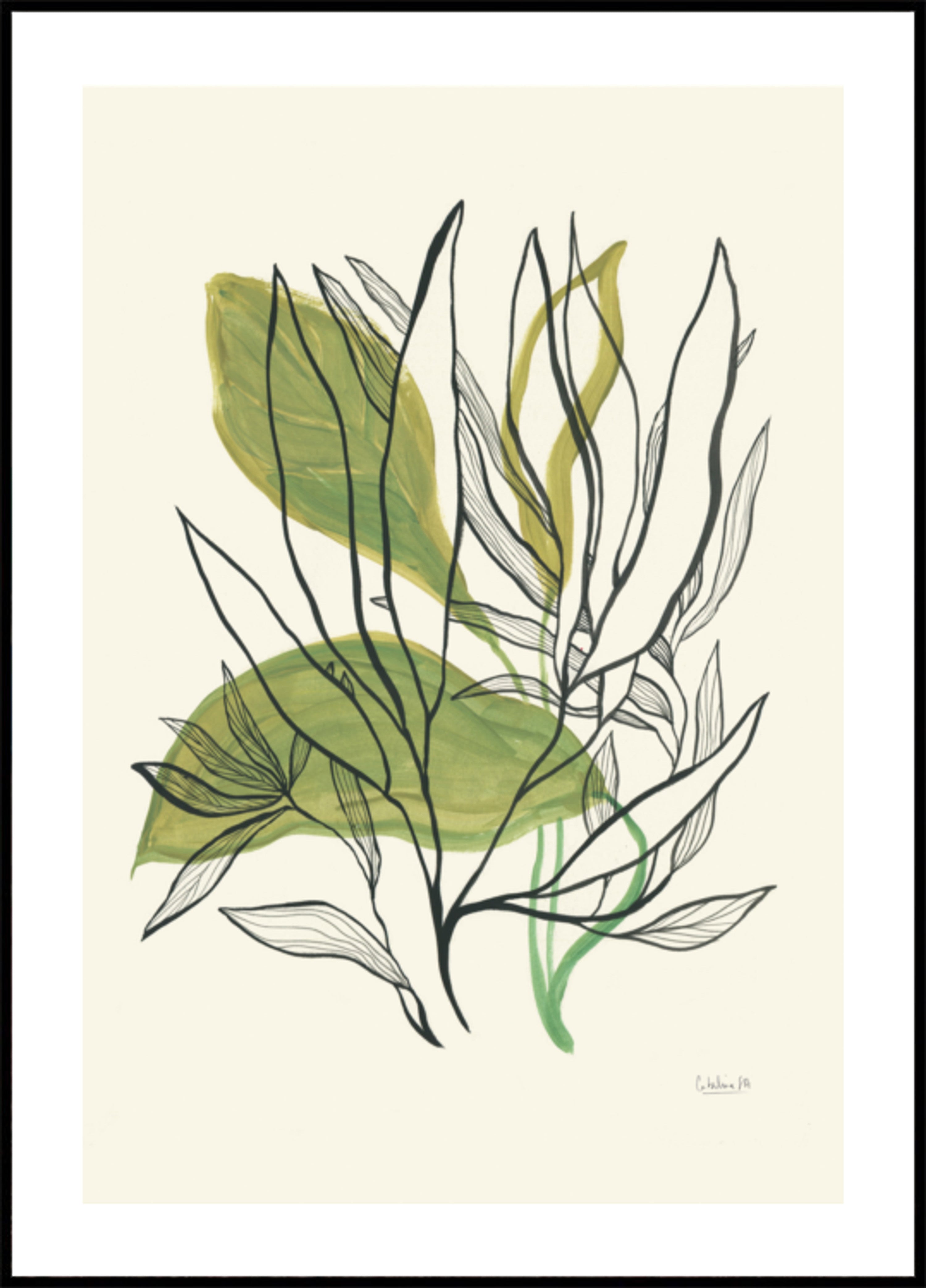 Moderní botanické listy