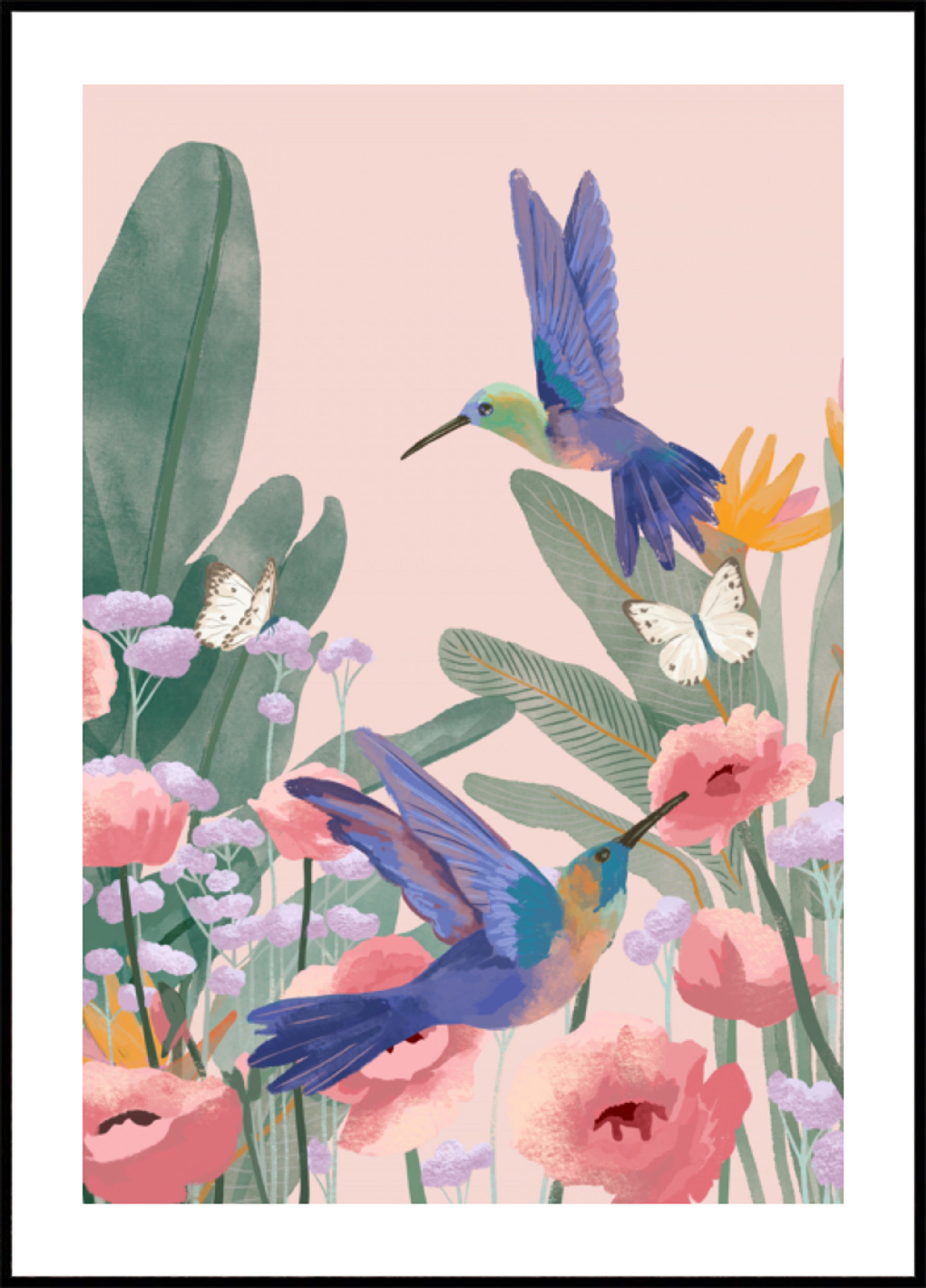 Kolibříci