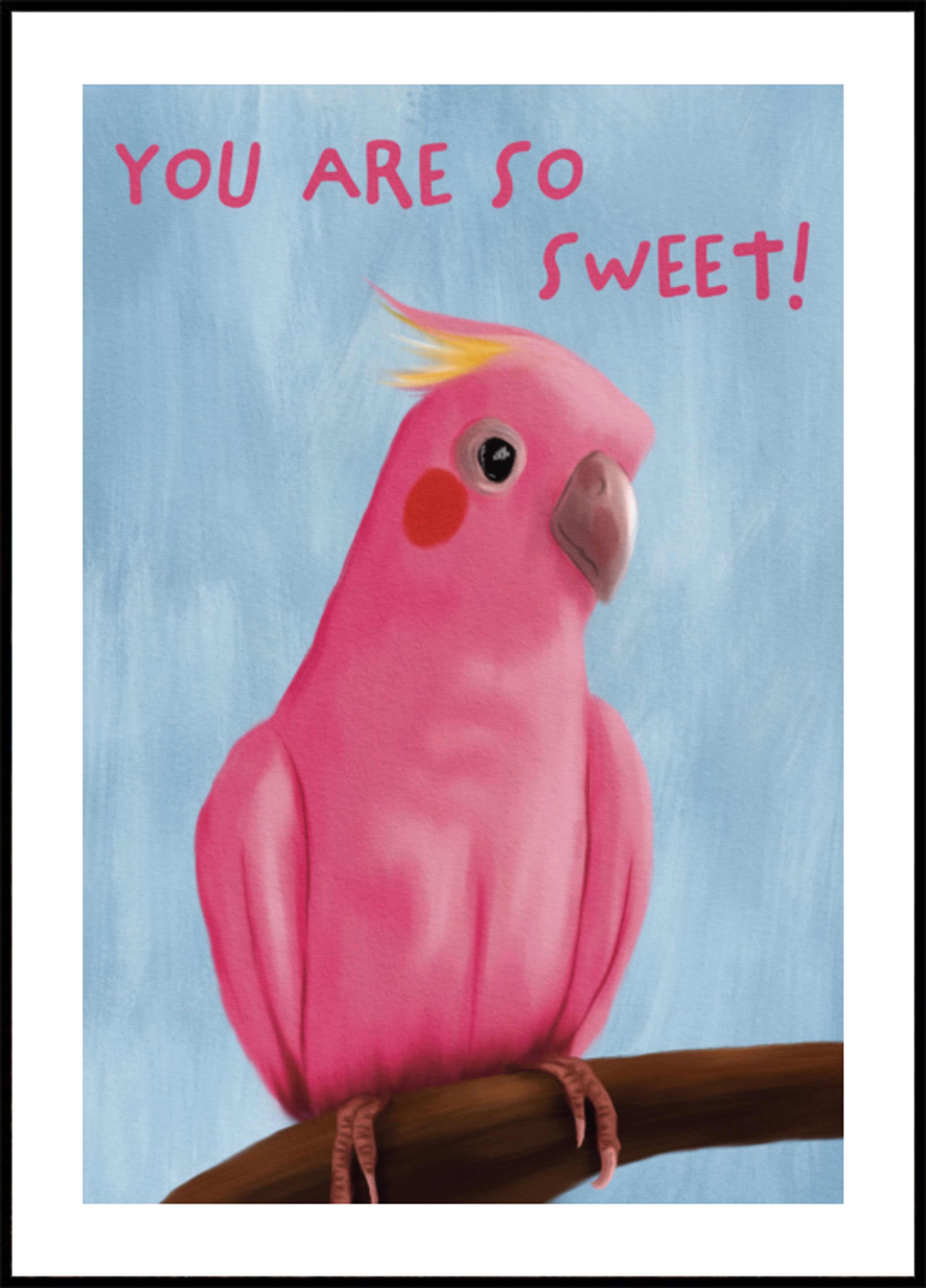 Sladká růžová Galah