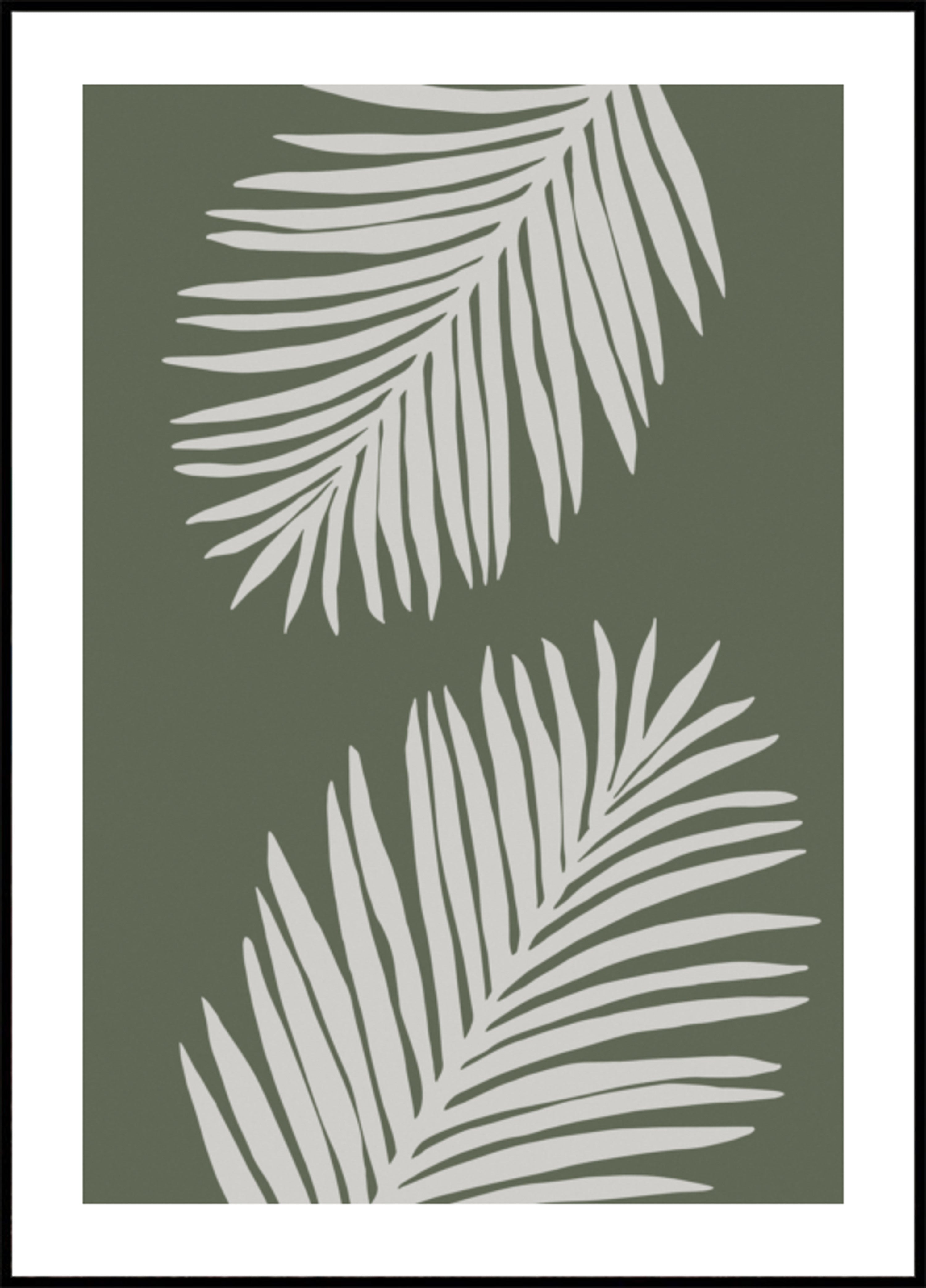Klidné palmové listy
