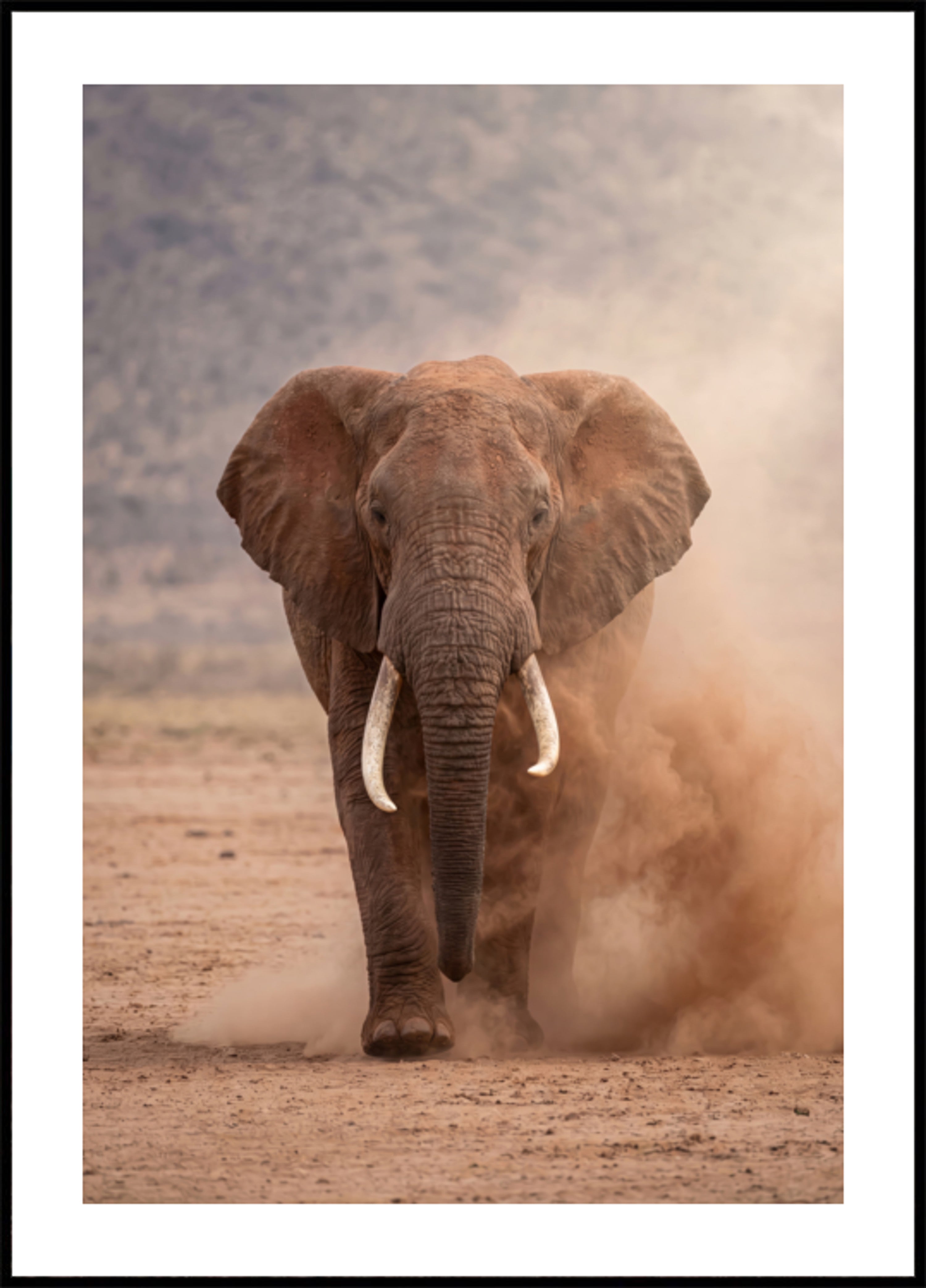 Výkonný Dusty Elephant