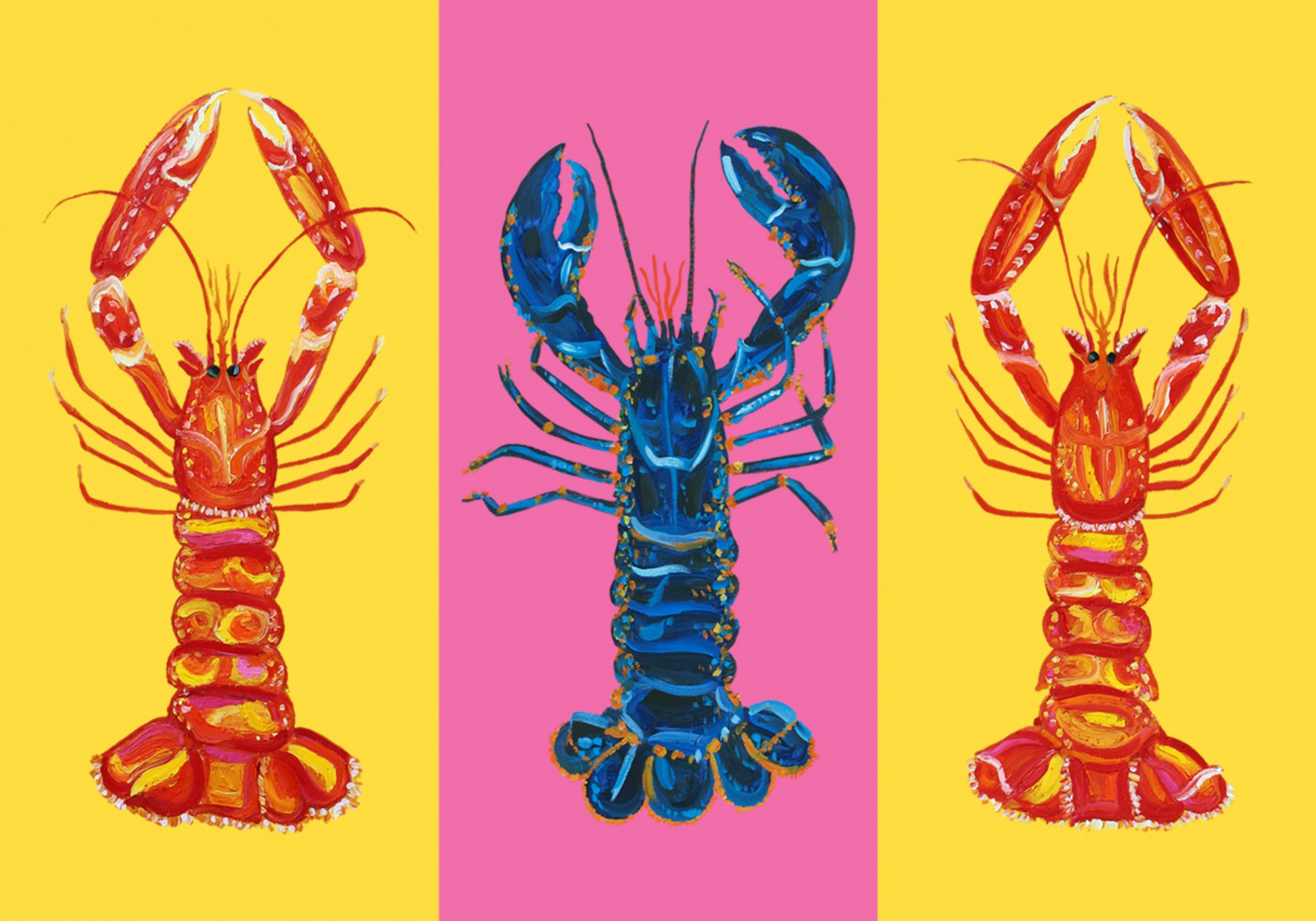 Humří langoše Pop Art 2