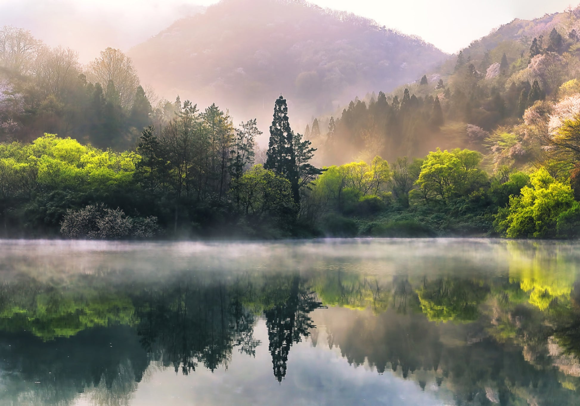 Misty jarní jezero odraz