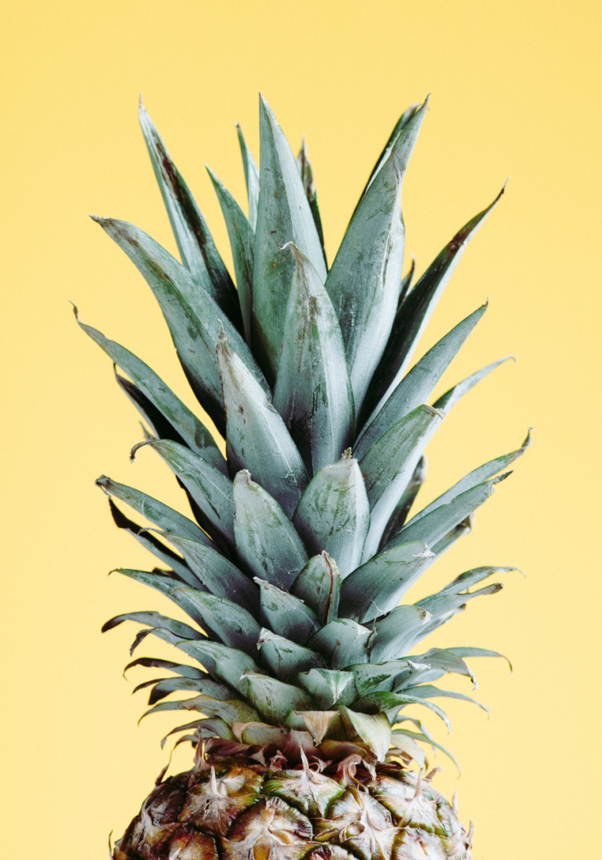 Tropický ananas žlutý