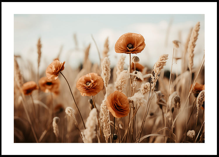 Poppies in Breeze - Posterbox