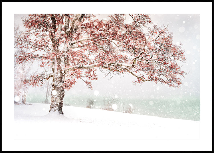 Snow at the lake Plakat - Posterbox